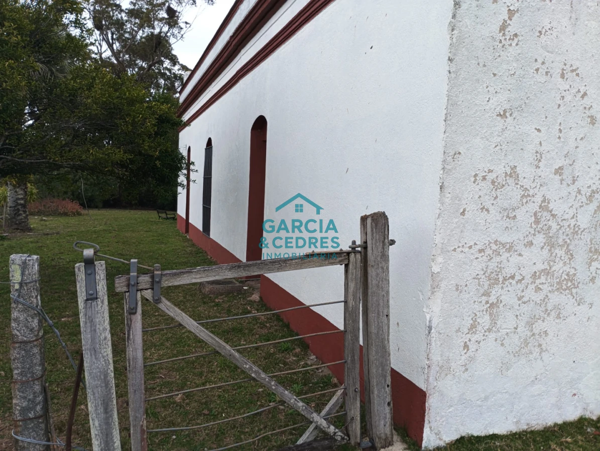 Campo Ref.35 - VENTA DE CAMPO EN RUTA 39 . LA ESTANCIA ESTA A5 KM DE LA RUTA 39 