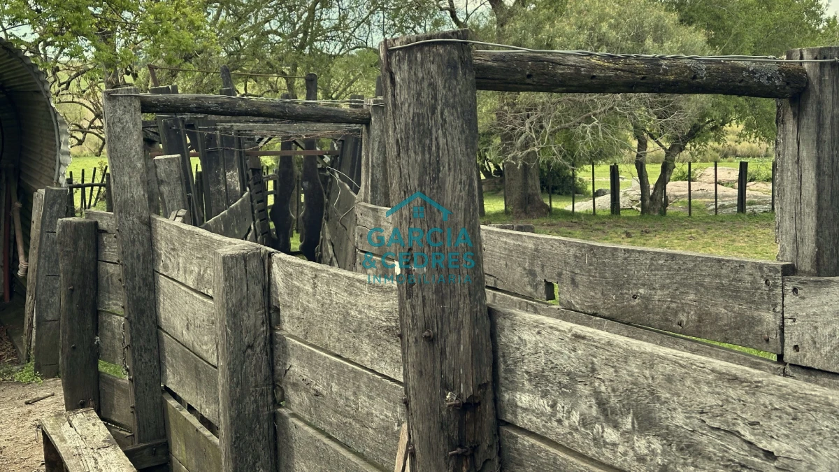 Campo Ref.207 - Estancia de Prestigio en Marmarajá - 104 Hectáreas Productivas