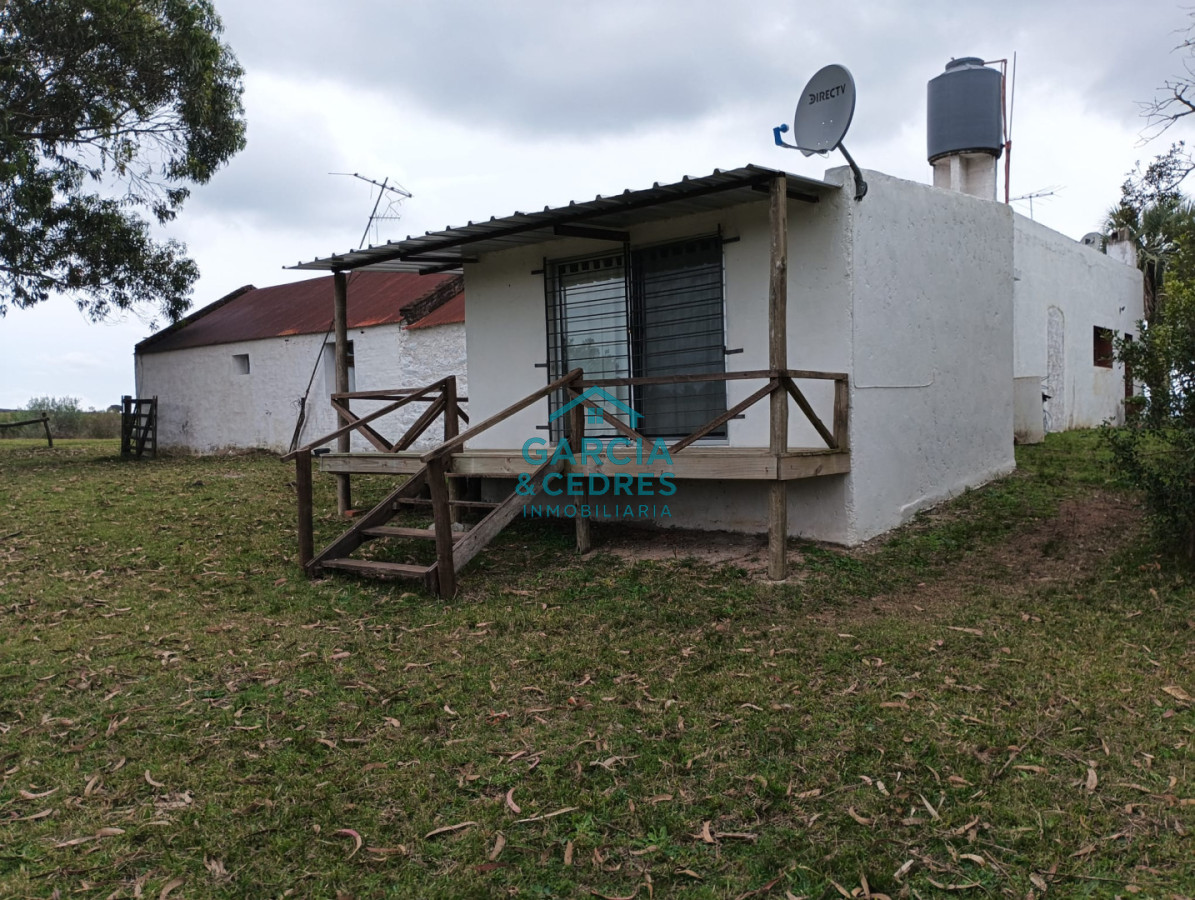 Campo Ref.35 - VENTA DE CAMPO EN RUTA 39 . LA ESTANCIA ESTA A5 KM DE LA RUTA 39 