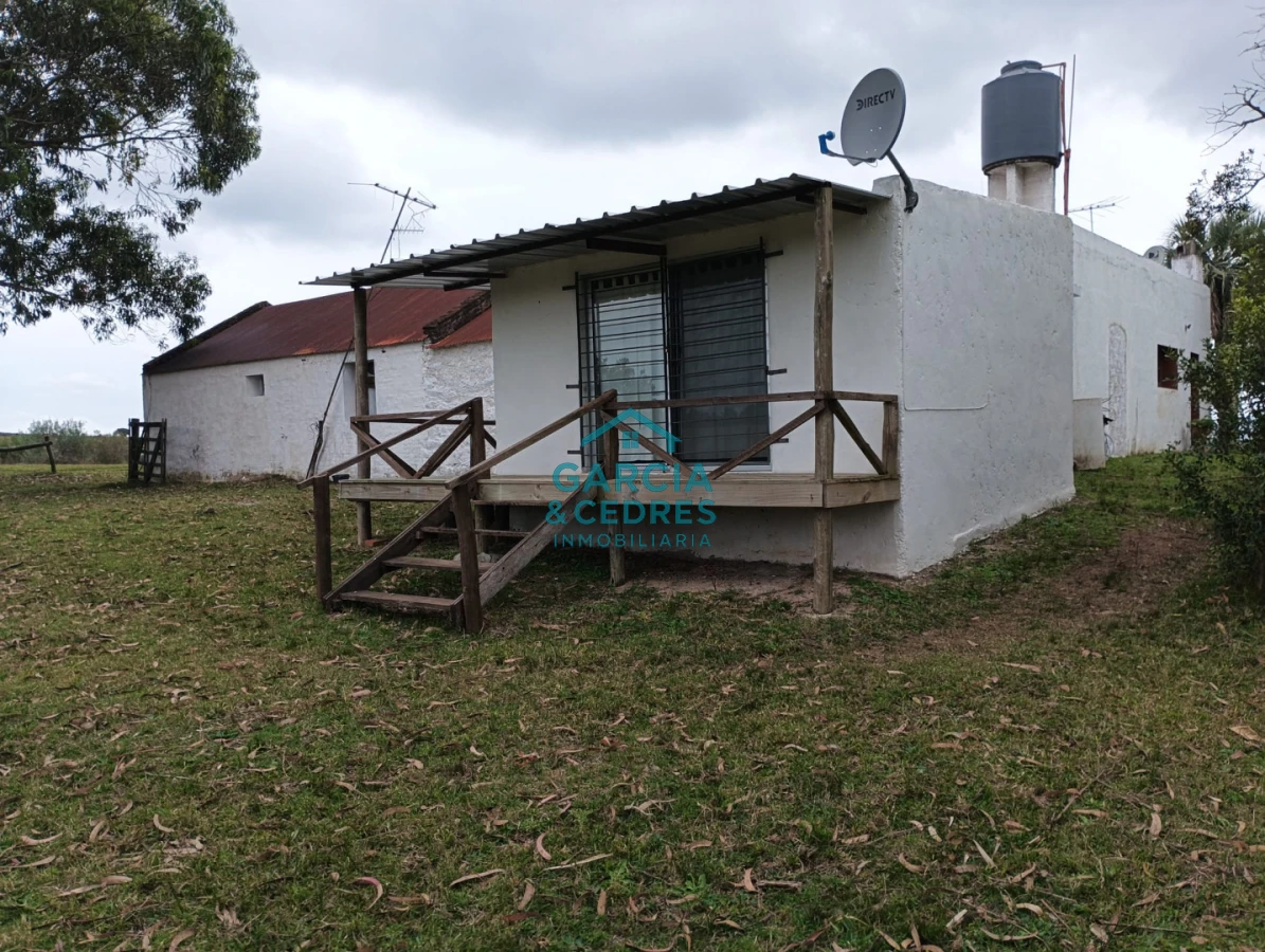 Campo Ref.35 - VENTA DE CAMPO EN RUTA 39 . LA ESTANCIA ESTA A5 KM DE LA RUTA 39 