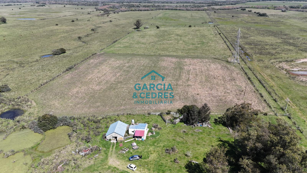 Venta de Campo de 20 has en Ruta 9 con casa y galpones