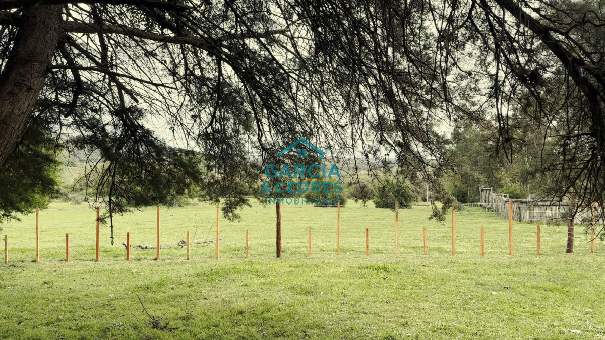 Campo Ref.207 - Estancia de Prestigio en Marmarajá - 104 Hectáreas Productivas