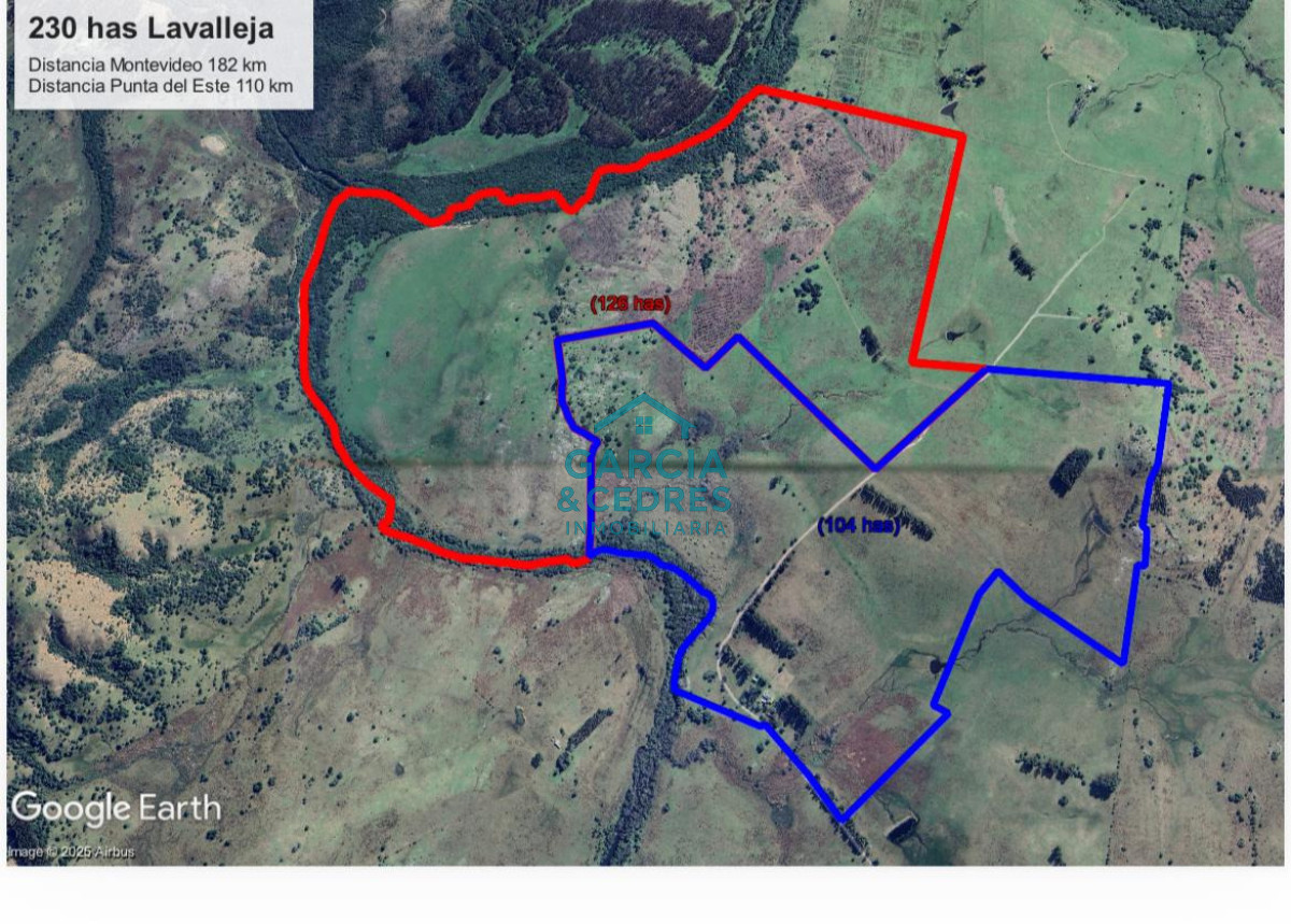 Campo Ref.207 - Estancia de Prestigio en Marmarajá - 104 Hectáreas Productivas