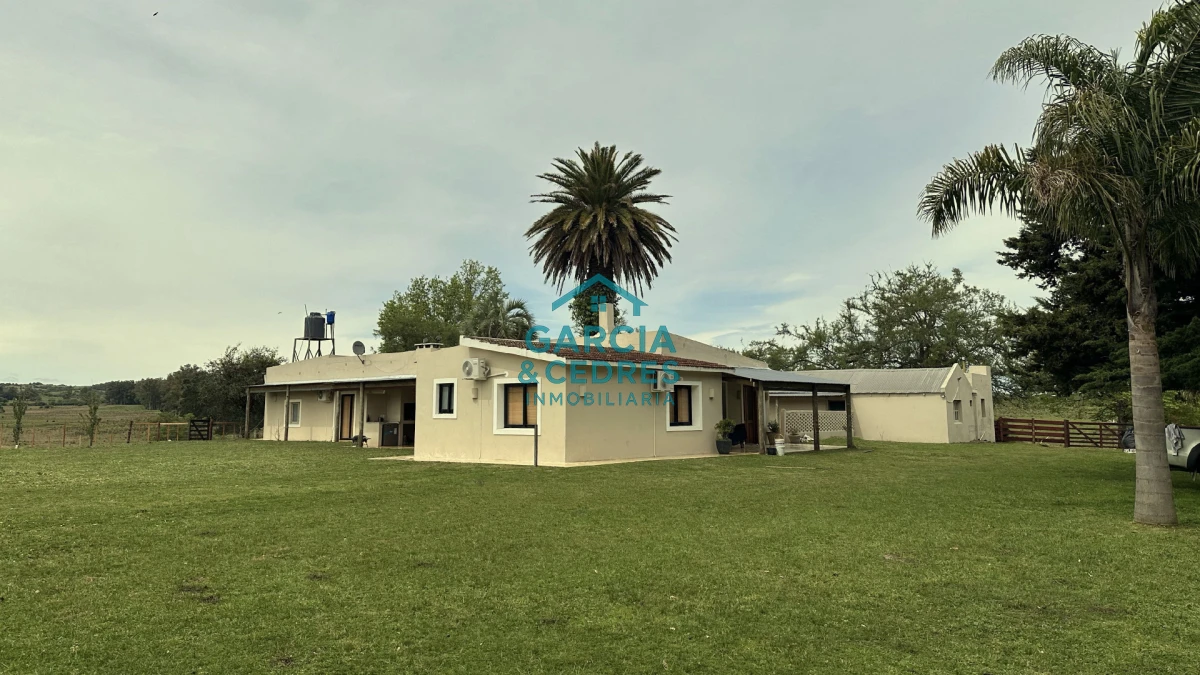 Campo Ref.207 - Estancia de Prestigio en Marmarajá - 104 Hectáreas Productivas