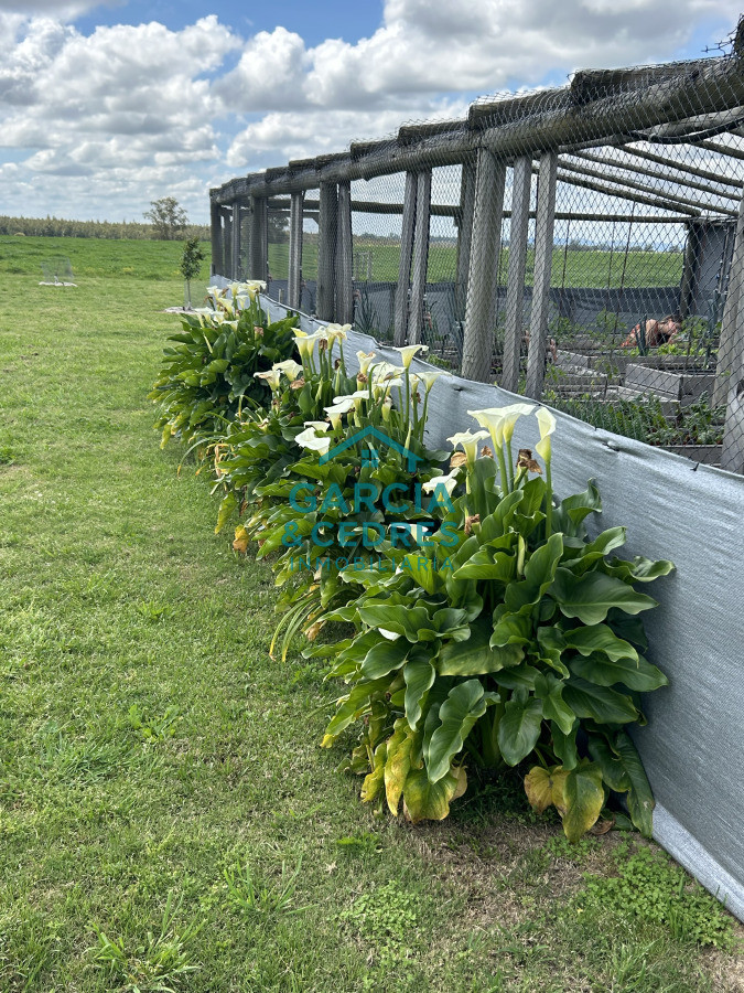 Campo Ref.4 - Chacra de 50 has ganadera en capilla de Cella con Casa  