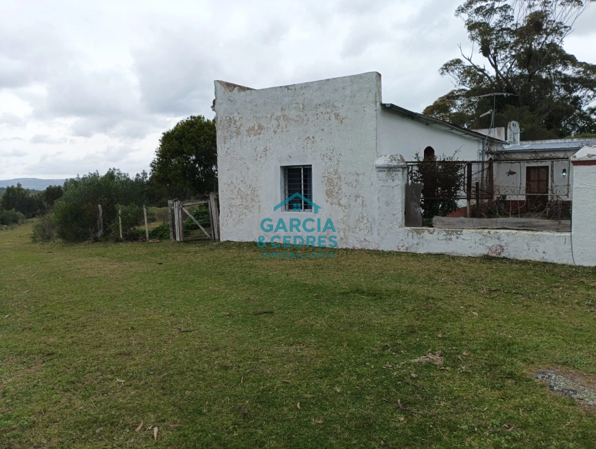 Campo Ref.35 - VENTA DE CAMPO EN RUTA 39 . LA ESTANCIA ESTA A5 KM DE LA RUTA 39 