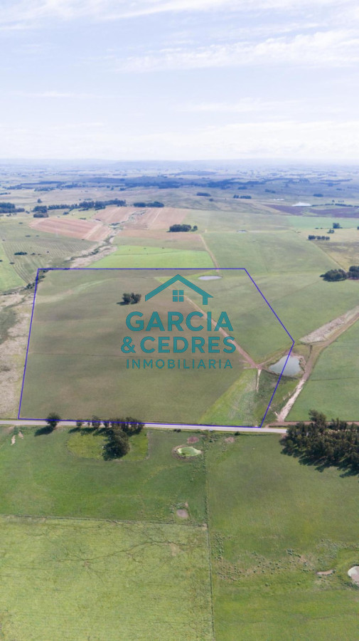 Campo Ref.182 - Campo de 42 Hectáreas con Alto Potencial de Inversión y Fraccionamiento - Ruta 104 & Camino del Medellín