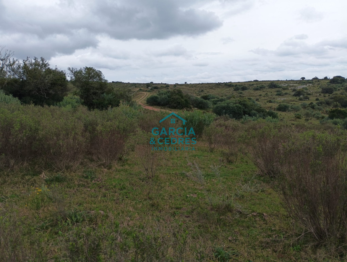 Campo Ref.35 - VENTA DE CAMPO EN RUTA 39 . LA ESTANCIA ESTA A5 KM DE LA RUTA 39 