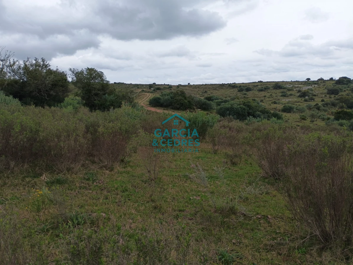 Campo Ref.35 - VENTA DE CAMPO EN RUTA 39 . LA ESTANCIA ESTA A5 KM DE LA RUTA 39 