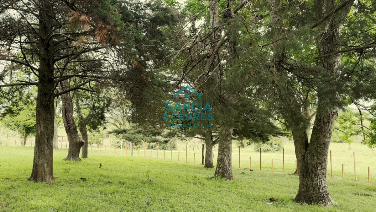 Campo Ref.207 - Estancia de Prestigio en Marmarajá - 104 Hectáreas Productivas