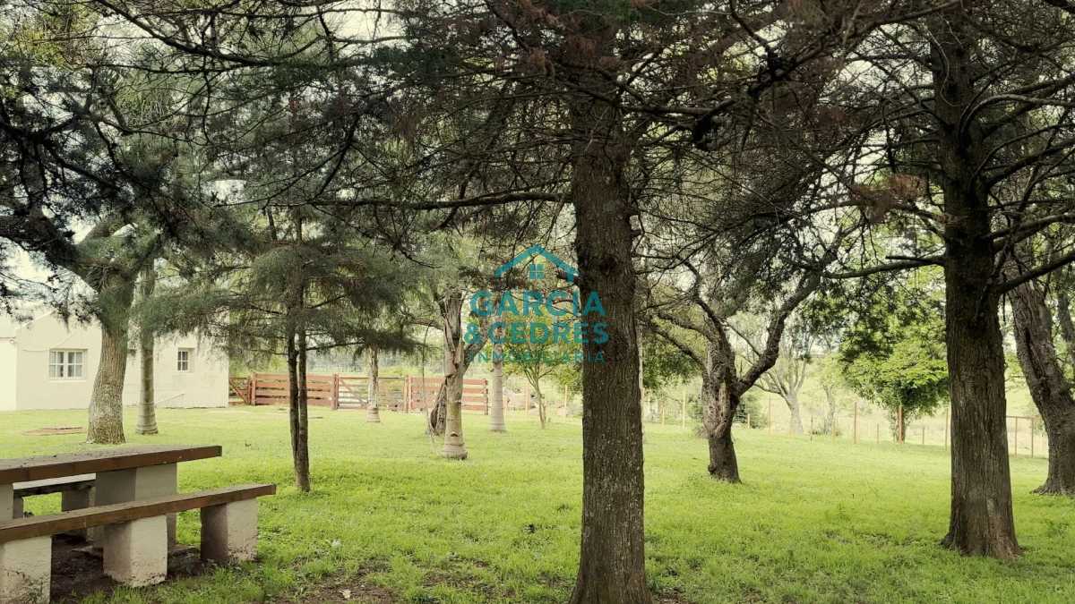 Campo Ref.207 - Estancia de Prestigio en Marmarajá - 104 Hectáreas Productivas