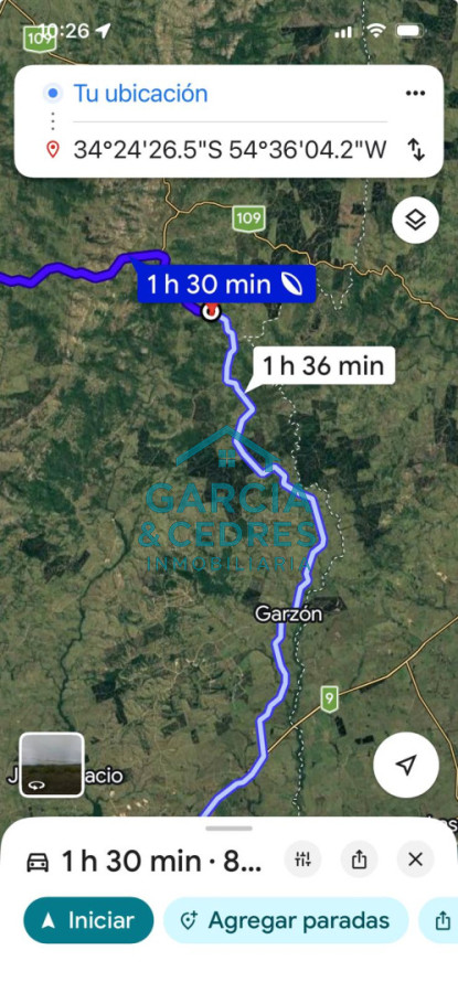 Campo Ref.209 - OPORTUNIDAD !!! ESTANCIA DE 252 HAS EN CAMINO CERRO CATEDRAL MALDONADO. 