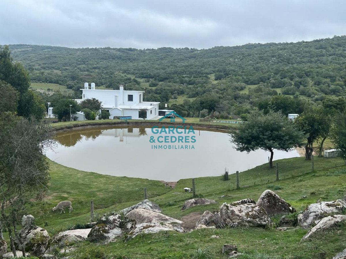 Campo Ref.209 - OPORTUNIDAD !!! ESTANCIA DE 252 HAS EN CAMINO CERRO CATEDRAL MALDONADO. 