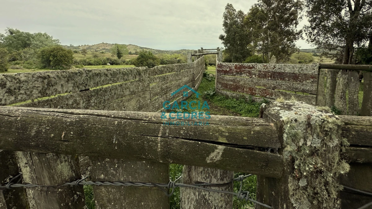 Campo Ref.207 - Estancia de Prestigio en Marmarajá - 104 Hectáreas Productivas