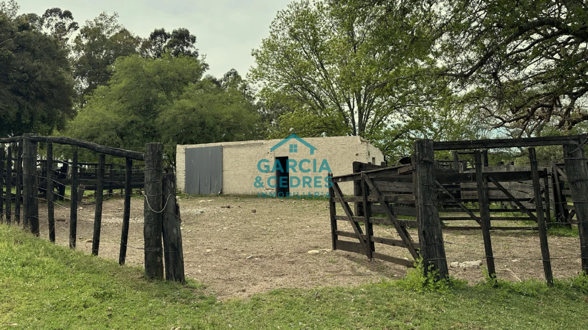 Campo Ref.207 - Estancia de Prestigio en Marmarajá - 104 Hectáreas Productivas