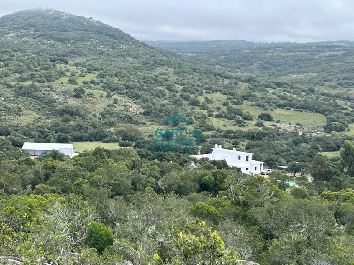 Campo Ref.209 - OPORTUNIDAD !!! ESTANCIA DE 252 HAS EN CAMINO CERRO CATEDRAL MALDONADO. 