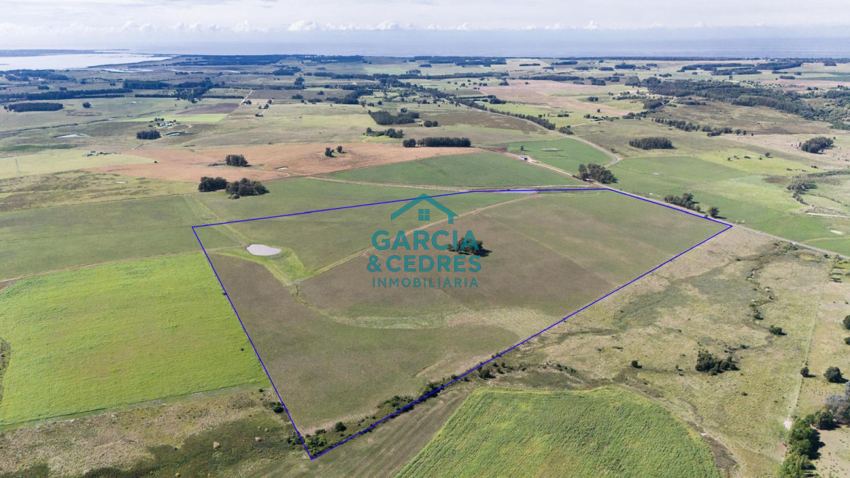 Campo Ref.182 - Campo de 42 Hectáreas con Alto Potencial de Inversión y Fraccionamiento - Ruta 104 & Camino del Medellín