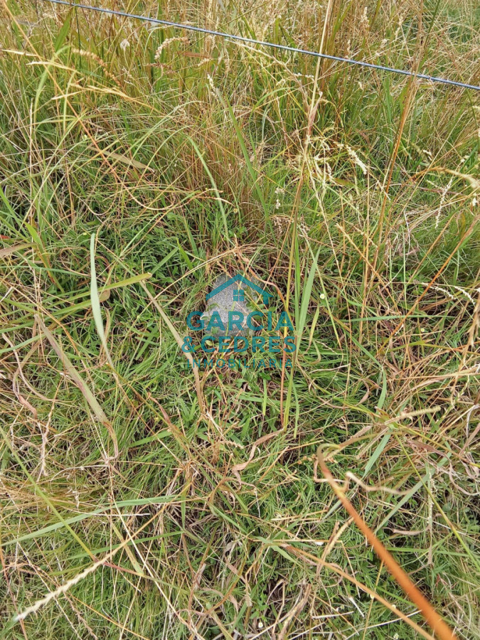 Campo Ref.26 - Campo en Rocha de 25 Has entre Lascano y Velazquez  a 1800 mt de Ruta 15 