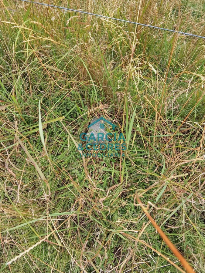 Campo Ref.26 - Campo en Rocha de 25 Has entre Lascano y Velazquez  a 1800 mt de Ruta 15 