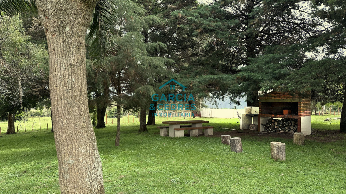 Campo Ref.207 - Estancia de Prestigio en Marmarajá - 104 Hectáreas Productivas