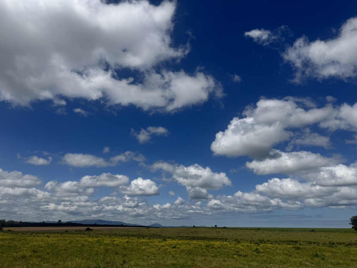 Chacra de 50 has ganadera en capilla de Cella con Casa  