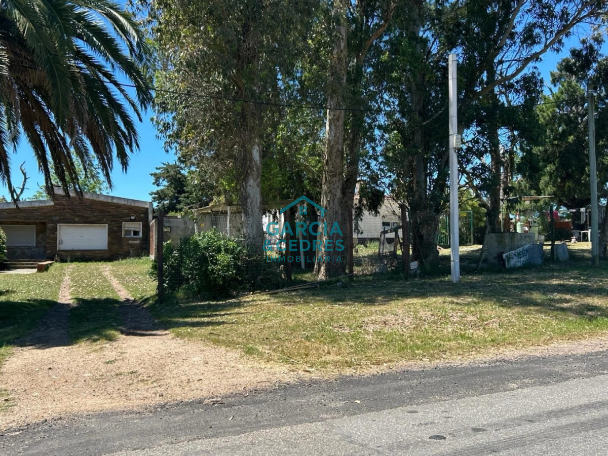 Local Comercial ID.190 - OPORTUNIDAD ÚNICA PARA INVERSORES - RUTA 9 PAN DE AZÚCAR