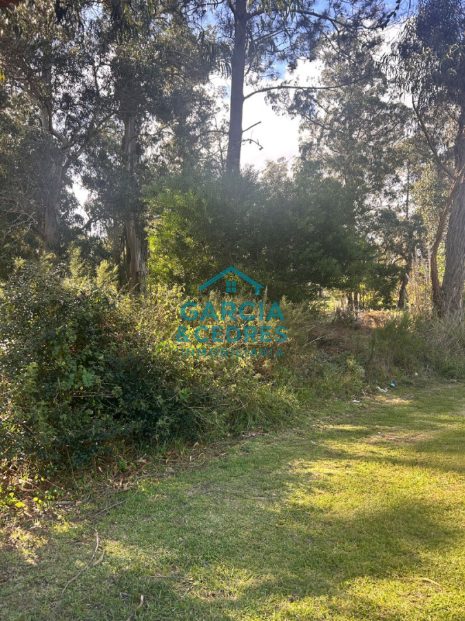 Terreno ID.293 - terreno en venta en Beverlly Hills 