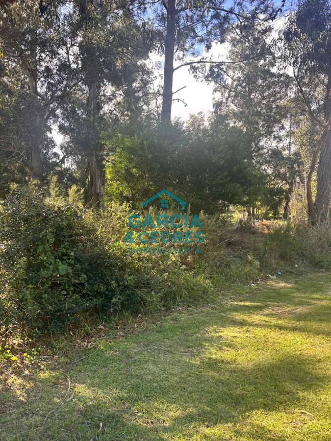 Terreno ID.293 - terreno en venta en Beverlly Hills 