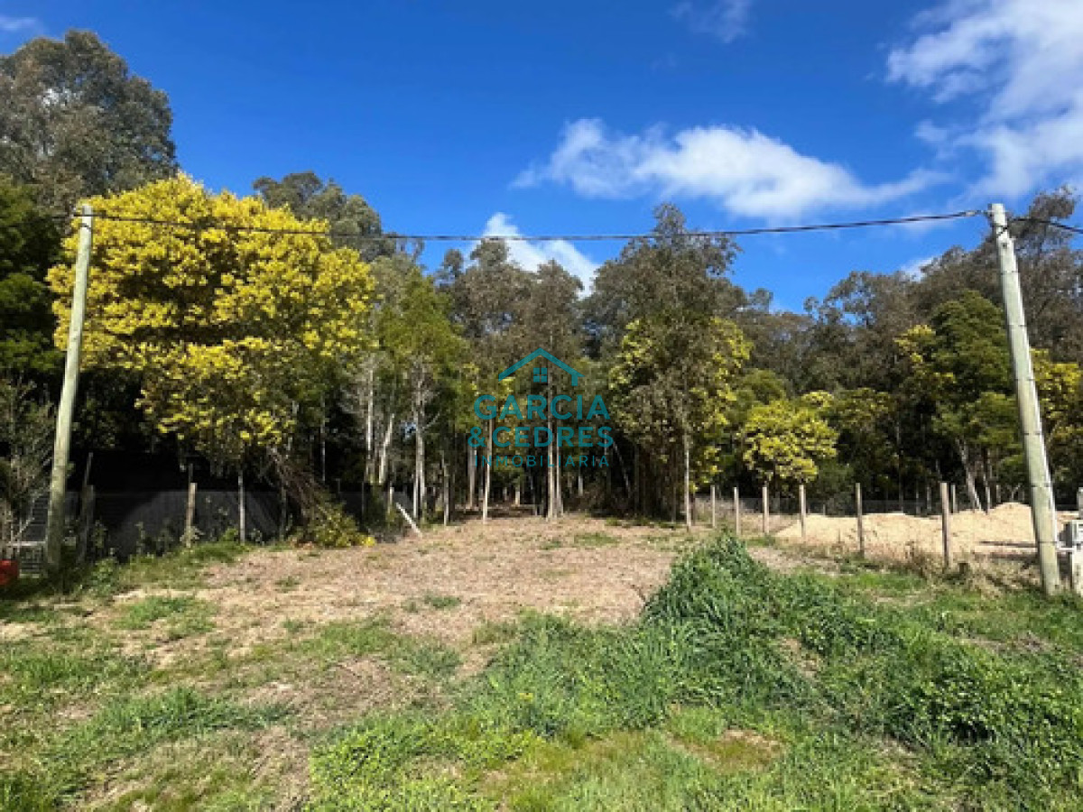 Terreno ID.1116 - Terreno en venta en Sauce de Portezuelo
