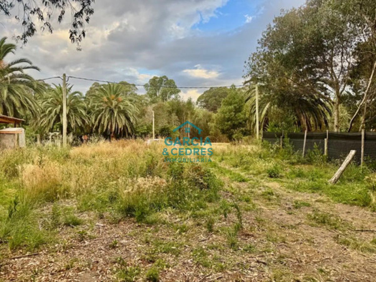 Terreno ID.1116 - Terreno en venta en Sauce de Portezuelo