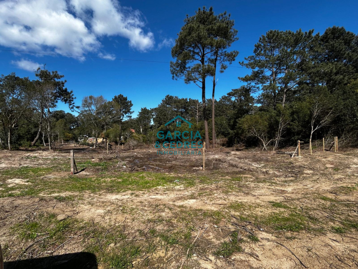 Terreno ID.1238 - Vendo 3 Terrenos en Punta Colorada a 200 mts del mar 