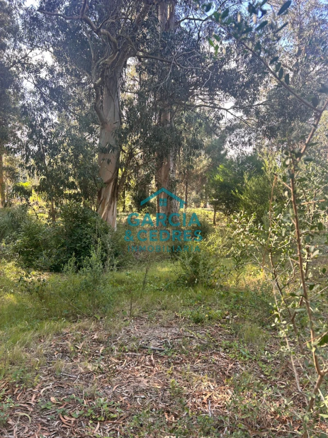 Terreno ID.293 - terreno en venta en Beverlly Hills 