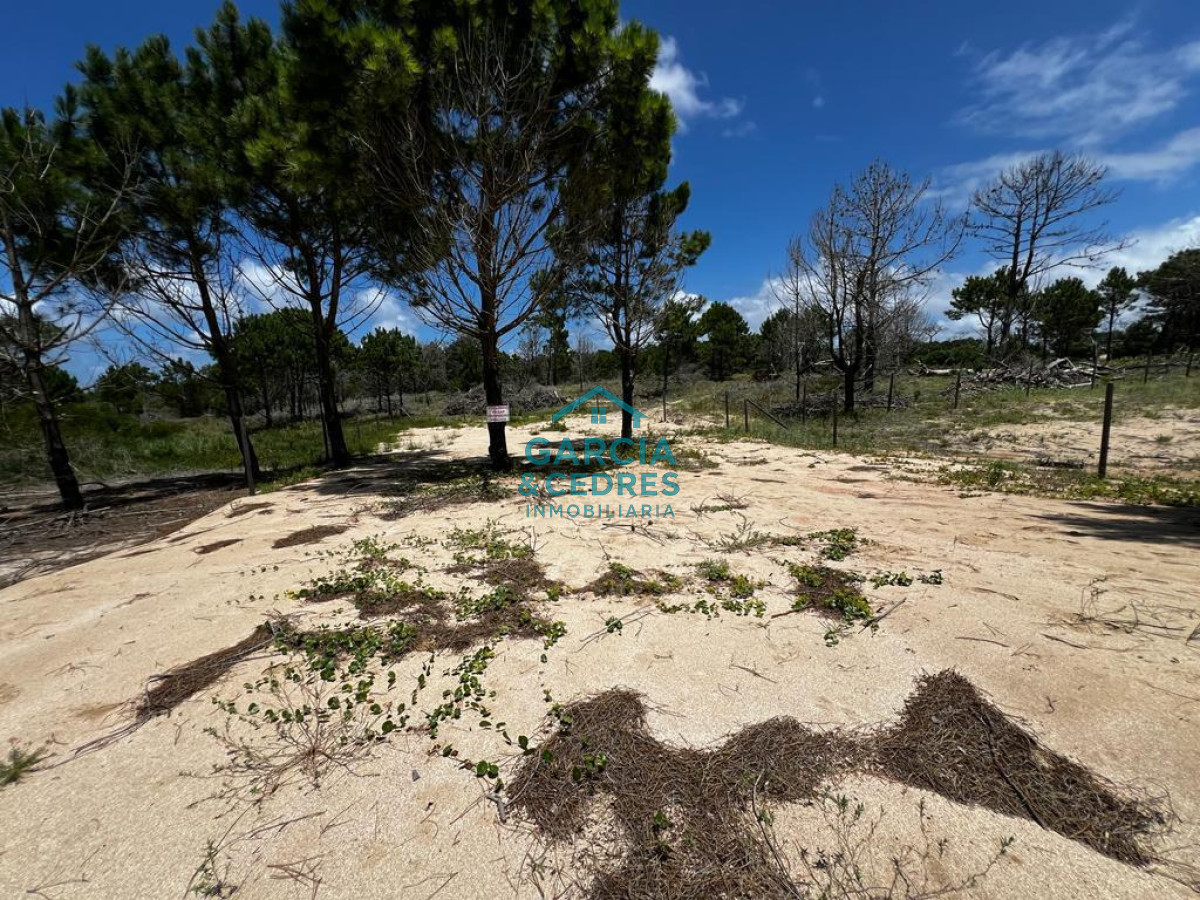 Terreno ID.128 - OPORTUNIDAD !!! VENDO TERRENO EN PUNTA DEL DIABLO PRONTO PARA CONSTRUIR Y TODO CERCADO   