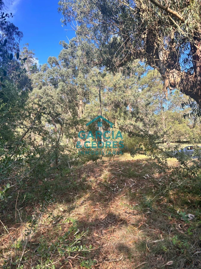 Terreno ID.293 - terreno en venta en Beverlly Hills 