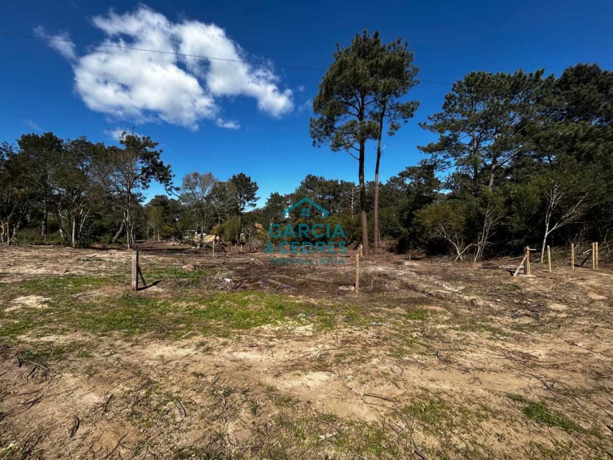 Terreno ID.1238 - Vendo 3 Terrenos en Punta Colorada a 200 mts del mar 