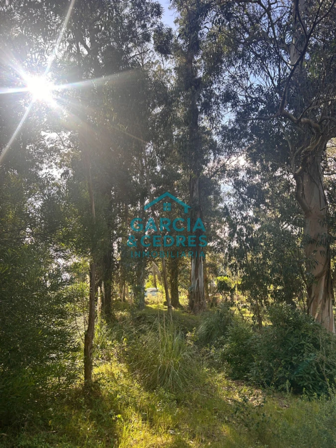 Terreno ID.293 - terreno en venta en Beverlly Hills 