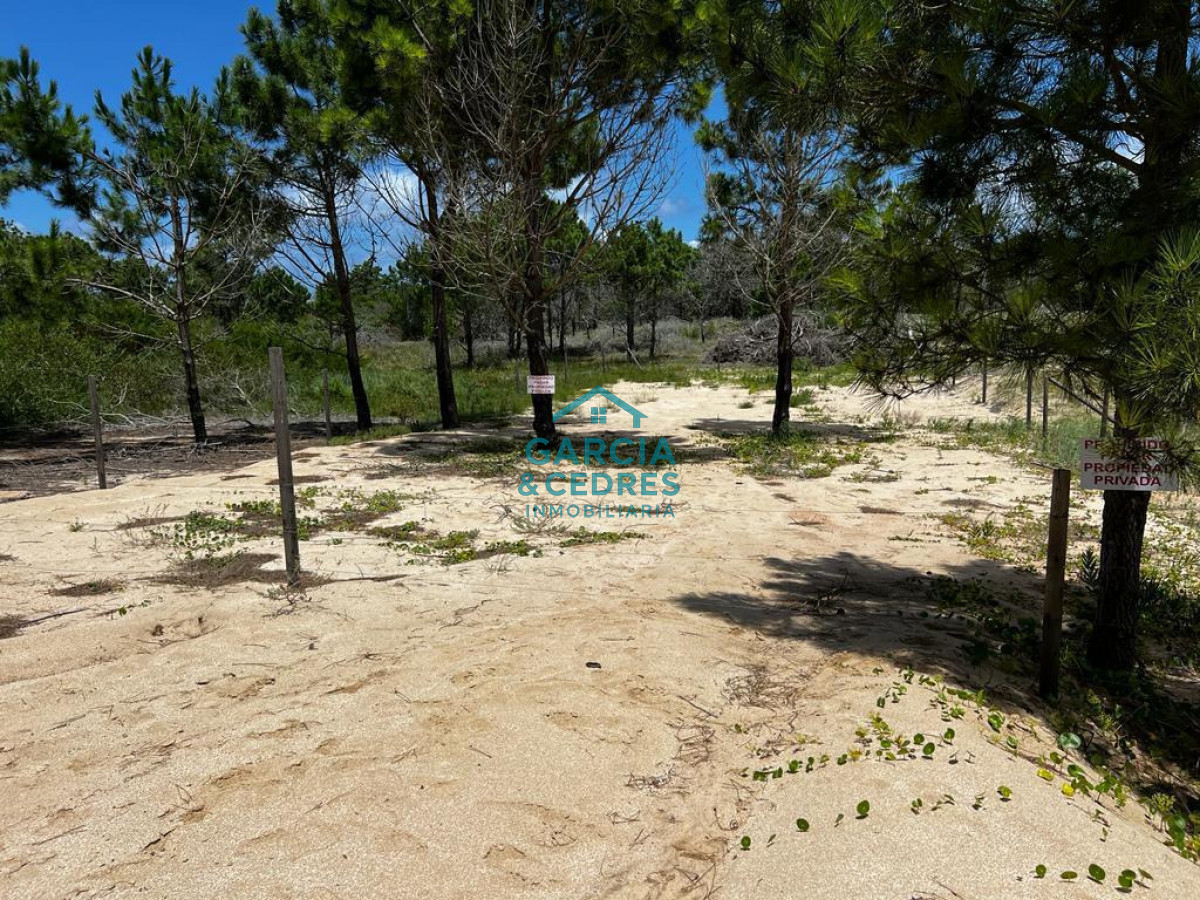 Terreno ID.128 - OPORTUNIDAD !!! VENDO TERRENO EN PUNTA DEL DIABLO PRONTO PARA CONSTRUIR Y TODO CERCADO   