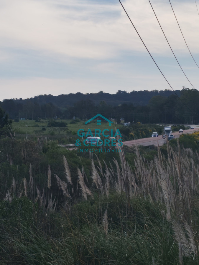 Terreno ID.8 - Terreno en Camino Lussich de 1800 M2. Ideal para Polo logistico . Galpones o empresa de camiones 