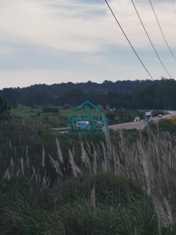 Terreno ID.8 - Terreno en Camino Lussich de 1800 M2. Ideal para Polo logistico . Galpones o empresa de camiones 