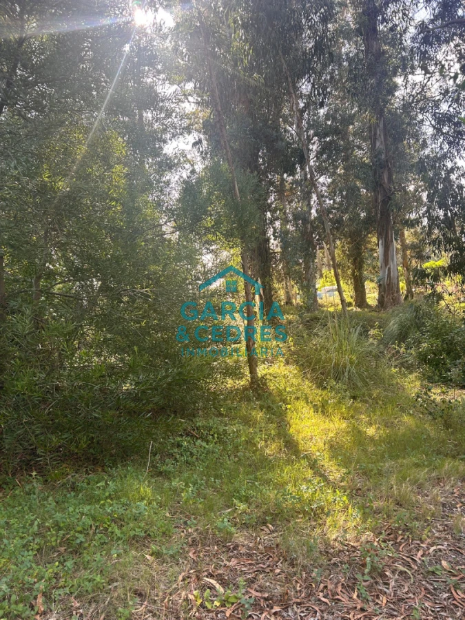 Terreno ID.293 - terreno en venta en Beverlly Hills 