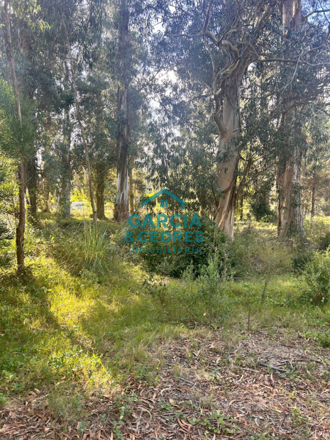 Terreno ID.293 - terreno en venta en Beverlly Hills 