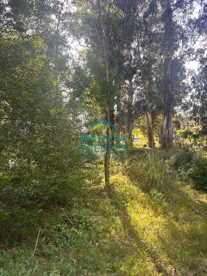 Terreno ID.293 - terreno en venta en Beverlly Hills 