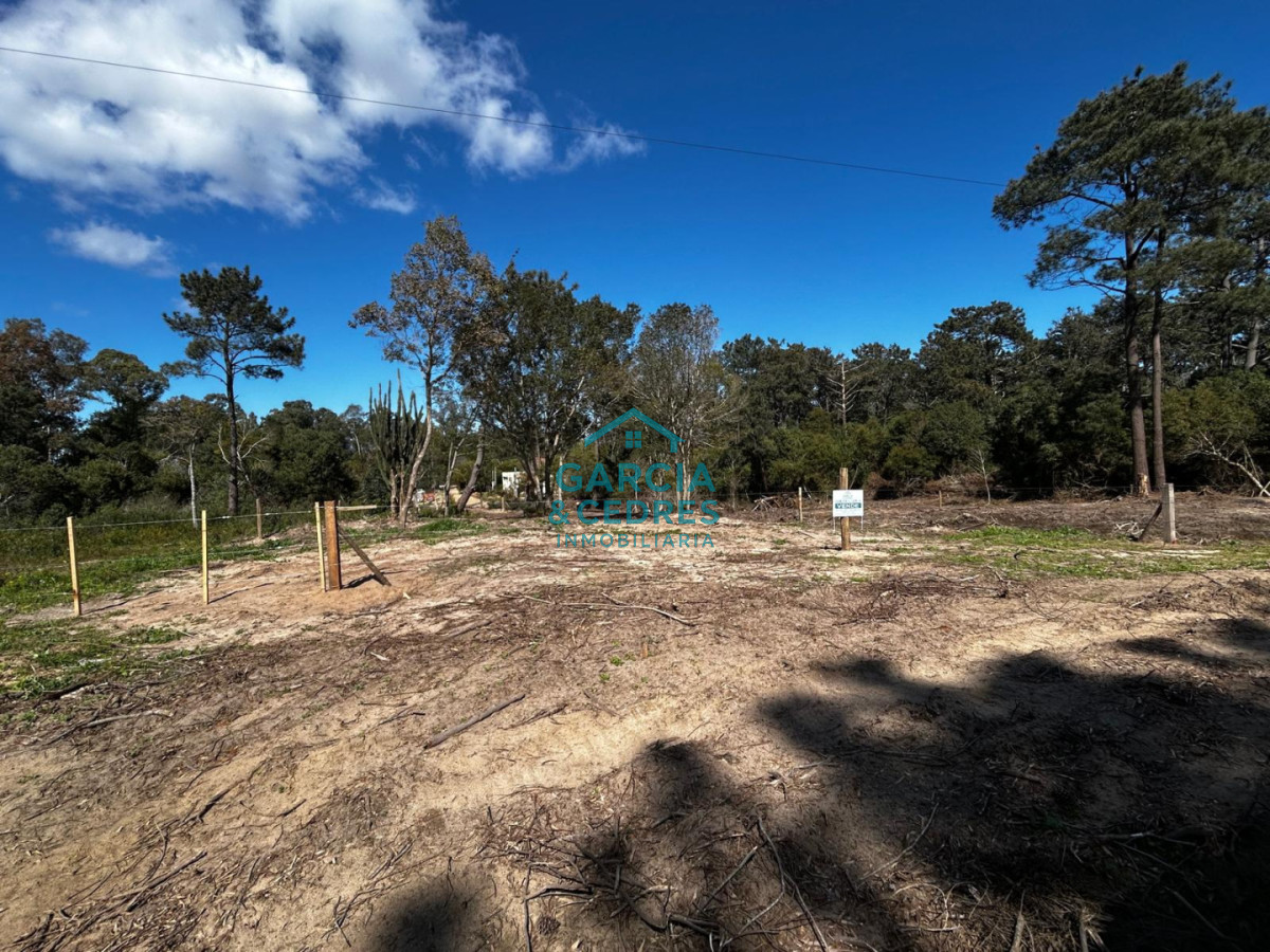 Terreno ID.1238 - Vendo 3 Terrenos en Punta Colorada a 200 mts del mar 