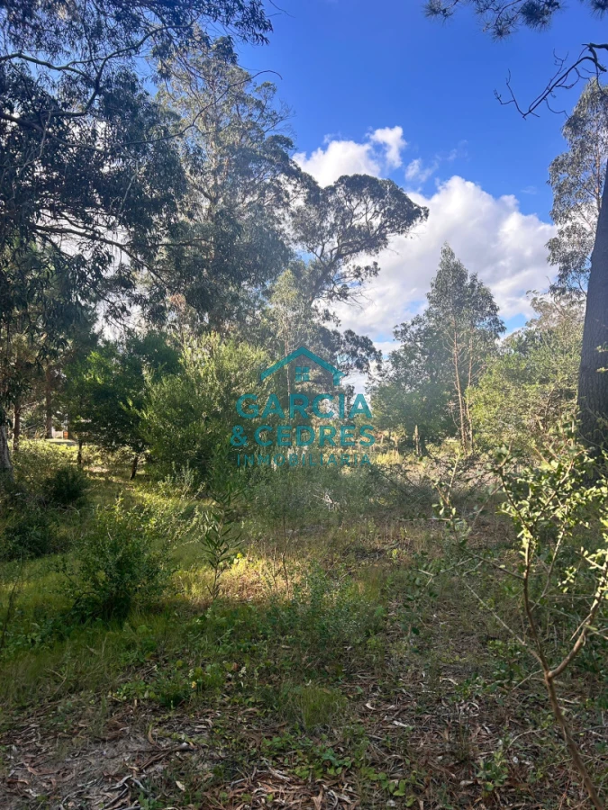 Terreno ID.293 - terreno en venta en Beverlly Hills 