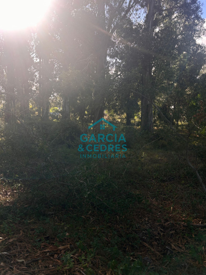 Terreno ID.293 - terreno en venta en Beverlly Hills 