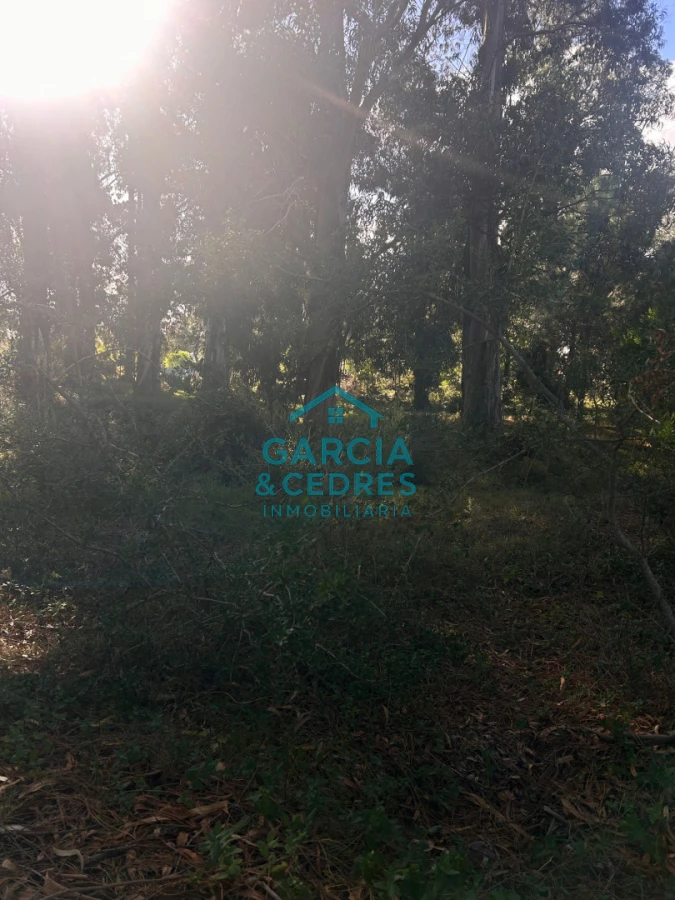 Terreno ID.293 - terreno en venta en Beverlly Hills 