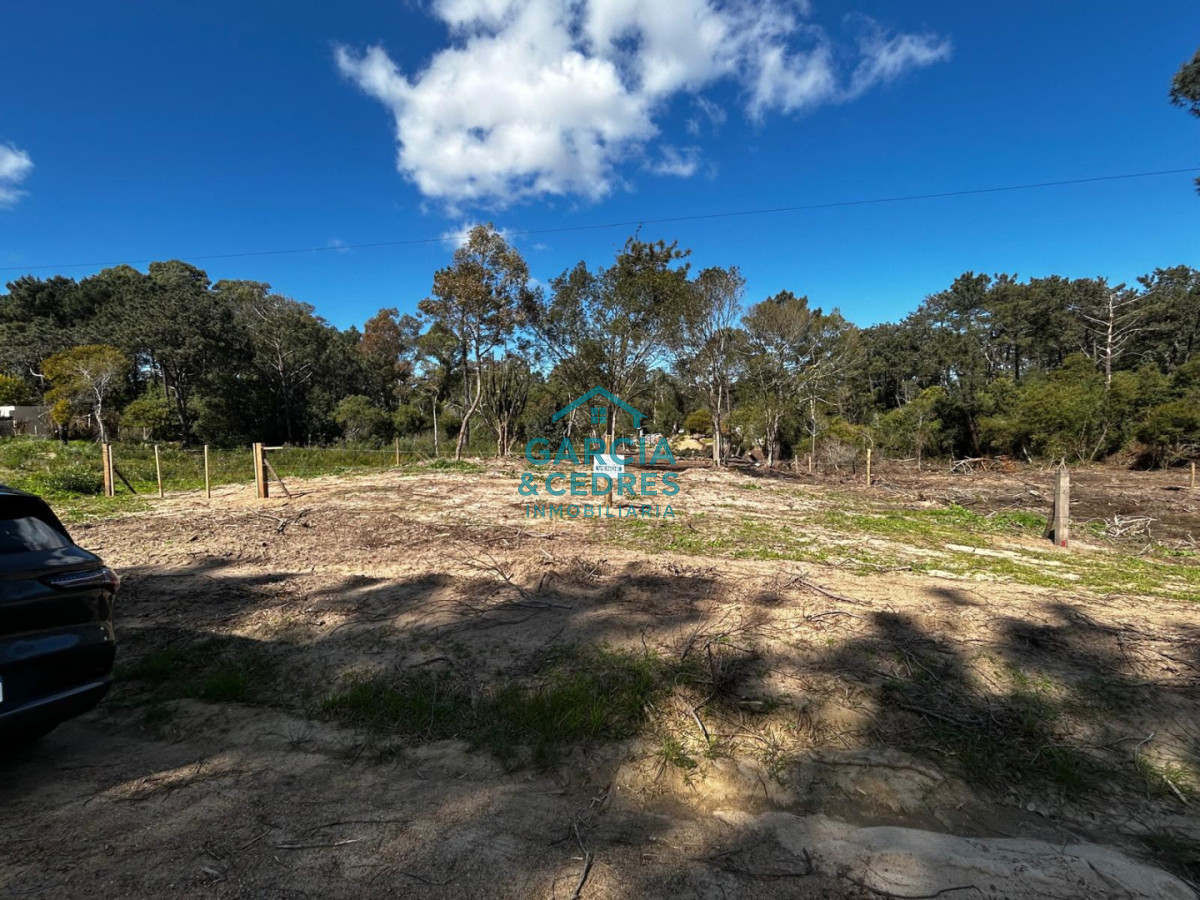 Terreno ID.1238 - Vendo 3 Terrenos en Punta Colorada a 200 mts del mar 
