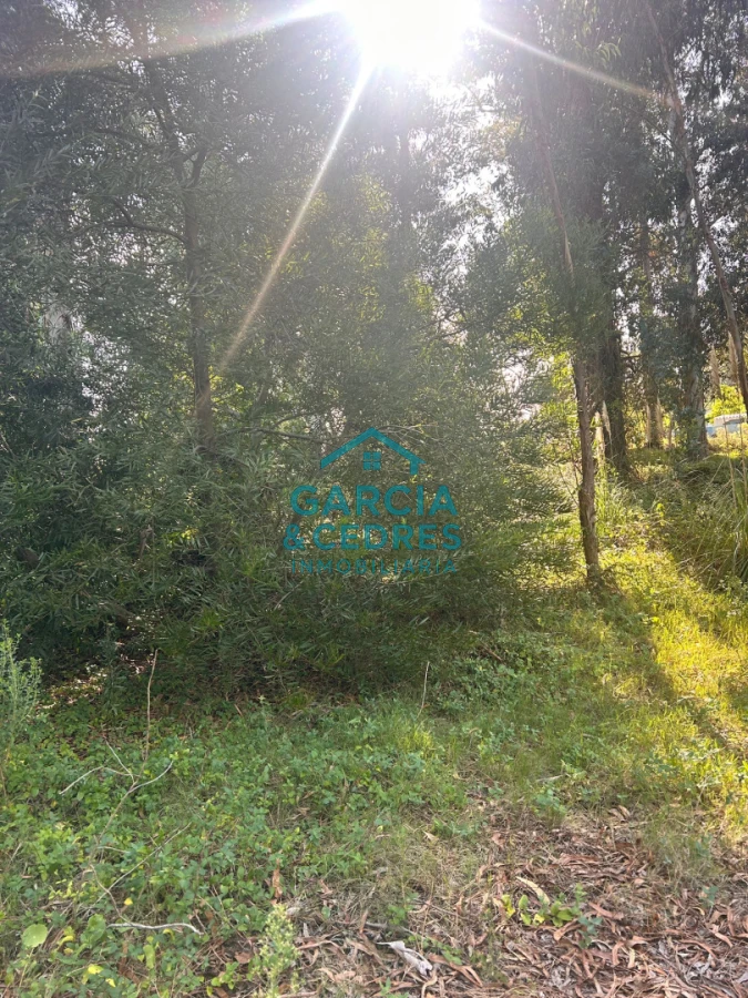 Terreno ID.293 - terreno en venta en Beverlly Hills 