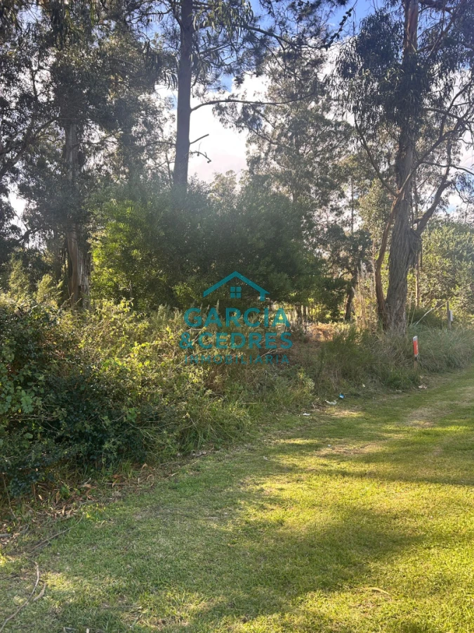 Terreno ID.293 - terreno en venta en Beverlly Hills 