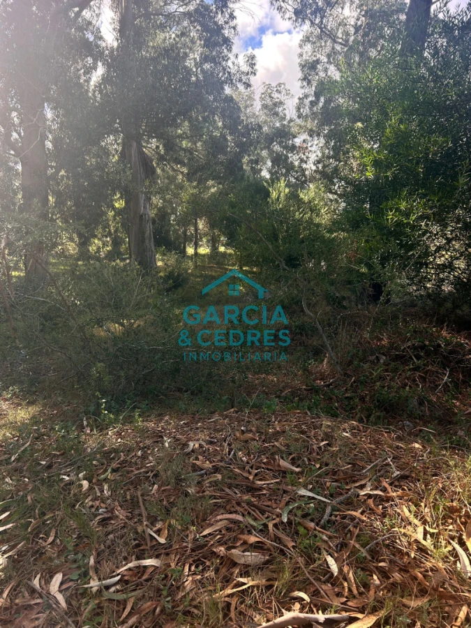 Terreno ID.293 - terreno en venta en Beverlly Hills 